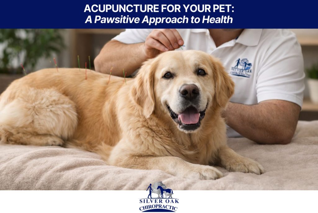 Acupuncture for Your Pet A Pawsitive Approach to Health