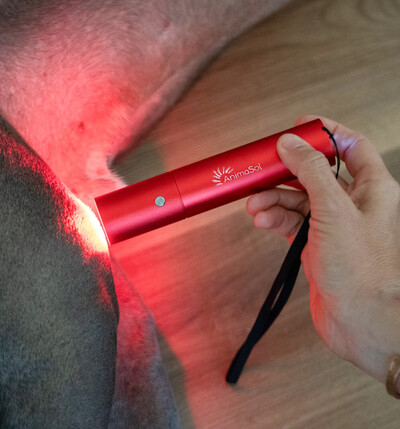 Link to: /programs/red-light-therapy