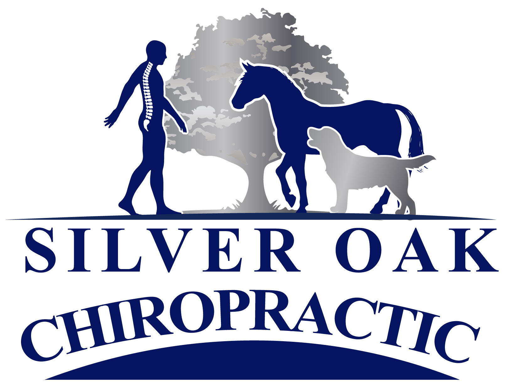 Silver Oak Chiropractic